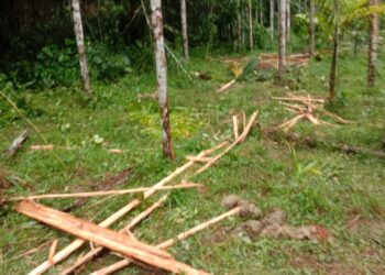 ಅಡ್ಯಡ್ಕ : ಆನೆ ದಾಳಿ