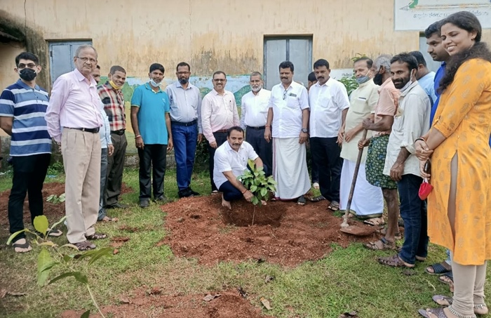 ಬಜಗೋಳಿ : ವೈದ್ಯಕೀಯ ಪ್ರಕೋಷ್ಟ ವನಮಹೋತ್ಸವ ಕಾಯ೯ಕ್ರಮ