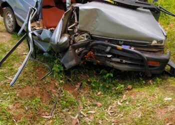 ಭೀಕರ ಕಾರು ಅಪಘಾತ: ಕೊಡಗು ಸರಕಾರಿ ಆಸ್ಪತ್ರೆ ವೈದ್ಯಾಧಿಕಾರಿ ಸಾವು