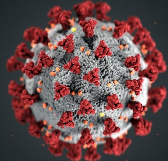 ಬೆಂಗಳೂರಿನಲ್ಲಿ ಮತ್ತೆ ಹೆಚ್ಚುತ್ತಿರುವ ಕರೋನಾ, ಲಾಕ್ ಡೌನ್, ನೈಟ್ ಕರ್ಫ್ಯೂ ಅಳವಡಿಕೆ ಸಾಧ್ಯತೆ