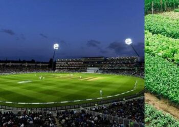 ಪಾಕಿಸ್ತಾನದ ಕ್ರಿಕೆಟ್‌ ಸ್ಟೇಡಿಯಂ ಈಗ ಕುಂಬಳಕಾಯಿ, ಮೆಣಸು ಬೆಳೆಯುವ ತೋಟ..!