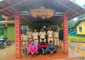 ದಬ್ಬಡ್ಕ: ಅಕ್ರಮ ಮರ ಕಡಿದ ಪ್ರಕರಣ, ಮೂವರ ಬಂಧನ