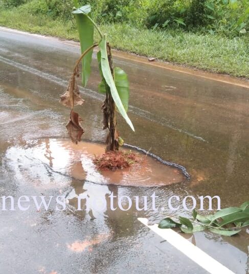 ಅರಂತೋಡು: ರಾಜ್ಯ ಹೆದ್ದಾರಿ ರಸ್ತೆಯಲ್ಲಿ ಸೃಷ್ಟಿಯಾದ ಬೃಹತ್ ಗುಂಡಿಯಲ್ಲಿ ಬಾಳೆ ಗಿಡ ನೆಟ್ಟು ಪ್ರತಿಭಟನೆ