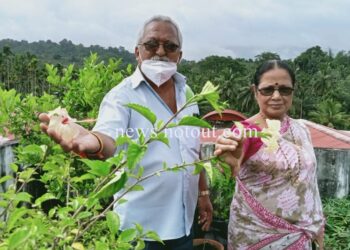 ಮನಸ್ಸಿದ್ದರೆ ಮಾರ್ಗ: ಅದ್ಭುತ ತಾರಸಿ ಕೃಷಿ ಲೋಕ ಸೃಷ್ಟಿಸಿದ ಎಸ್‌ಪಿ ಲೋಕನಾಥ್‌ ದಂಪತಿ