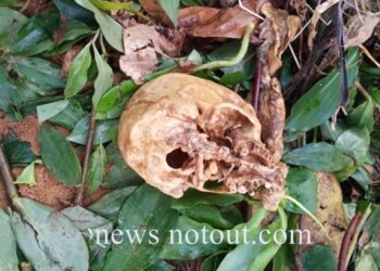 ಕಡಬ: ತಲೆಬುರುಡೆ ಕಾಣಿಸಿಕೊಂಡ ಬೆನ್ನಲ್ಲೇ ಮತ್ತೊಂದು ಶಾಕಿಂಗ್ ನ್ಯೂಸ್