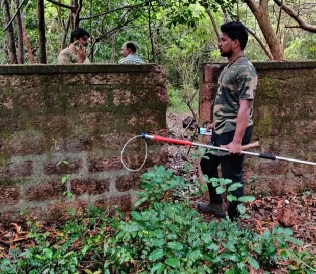 ಪ್ರತ್ಯಕ್ಷವಾಗಿ ಭಯ ಹುಟ್ಟಿಸಿದ್ದ ಚಿರತೆ: ಈಗ ಎಷ್ಟು ಹುಡುಕಾಡಿದರೂ ಸಿಗುತ್ತಲೇ ಇಲ್ಲ..!