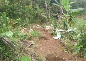 ಸಂಪಾಜೆ: ಆನೆದಾಳಿ, ಸಾವಿರಾರು ರೂ.ನಷ್ಟ