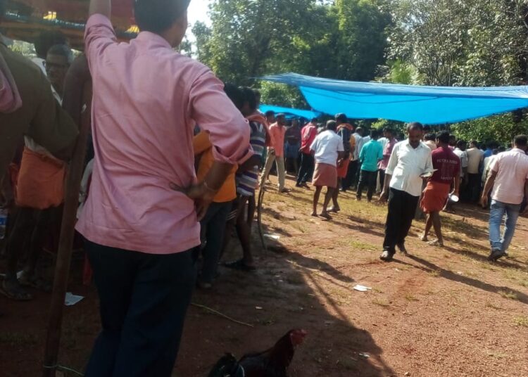 ಕೋಡಿಂಬಾಳದಲ್ಲಿ ಕದ್ದುಮುಚ್ಚಿ ಶಾಮಿಯಾನ ಹಾಕಿ ಕೋಳಿ ಅಂಕ..!