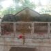 ಕೂಳೂರು: ನಾಗನ ಕಟ್ಟೆಯನ್ನು ಪುಡಿಗೈದ ದುಷ್ಕರ್ಮಿಗಳು, ಅಪರಾಧಿಗಳನ್ನು ಬಂಧಿಸಿ ಹಿಂದೂ ಸಂಘಟನೆಗಳ ಒತ್ತಾಯ