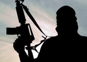 ಮಾಲಿ ಉಗ್ರರಿಂದ ವಿಶ್ವಸಂಸ್ಥೆಯ 7 ಶಾಂತಿಪಾಲಕರ ಭೀಕರ ಹತ್ಯೆ