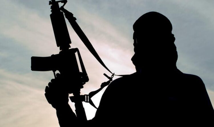 ಮಾಲಿ ಉಗ್ರರಿಂದ ವಿಶ್ವಸಂಸ್ಥೆಯ 7 ಶಾಂತಿಪಾಲಕರ ಭೀಕರ ಹತ್ಯೆ