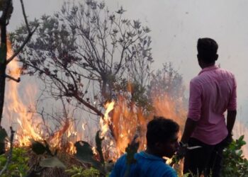 ಕೊಡಗಿನ ಸುಪ್ರಸಿದ್ಧ ಪ್ರವಾಸಿ ತಾಣ ರಾಜಾಸೀಟ್ ನಲ್ಲಿ ಬೆಂಕಿ ಅವಘಡ