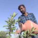 ಕೈ ತುಂಬ ಸಂಬಳ ತರುವ ಕೆಲಸ ಬಿಟ್ಟು ಏಕಾಂಗಿಯಾಗಿ ಬಾವಿ ತೋಡಿ ಬಂಗಾರ ಬೆಳೆದ ಎಂಟೆಕ್ ಪದವೀಧರ..!