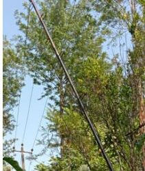 ಮಡಿಕೇರಿ: ಯುವಕನ ಜೀವ ತೆಗೆದ ಅಲ್ಯುಮಿನಿಯಂ ಏಣಿ..!