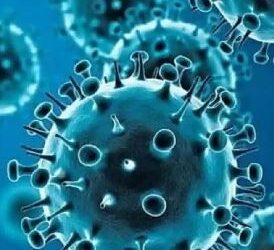 ತಮಿಳುನಾಡಿನಲ್ಲಿ ವೇಗವಾಗಿ ಹರಡುತ್ತಿದೆ ಒಮಿಕ್ರಾನ್​