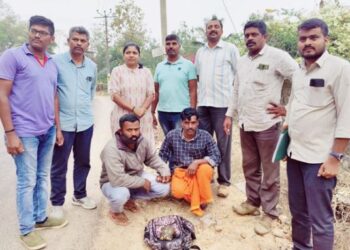 ಮಡಿಕೇರಿ: ನಕ್ಷತ್ರ ಆಮೆ ಮಾರಾಟಕ್ಕೆ ಯತ್ನ,ಇಬ್ಬರು ಅರೆಸ್ಟ್