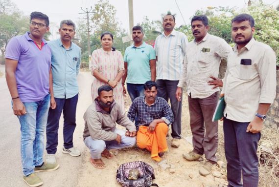 ಮಡಿಕೇರಿ: ನಕ್ಷತ್ರ ಆಮೆ ಮಾರಾಟಕ್ಕೆ ಯತ್ನ,ಇಬ್ಬರು ಅರೆಸ್ಟ್