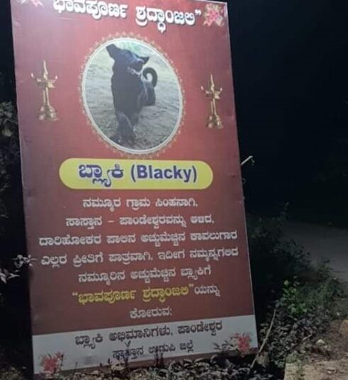 ಬೀದಿ ನಾಯಿಗೆ ಭಾವಪೂರ್ಣ ಶ್ರದ್ಧಾಂಜಲಿ ಅರ್ಪಿಸಿದ ಅಭಿಮಾನಿ ಸಂಘ, ಫ್ಲೆಕ್ಸ್ ವೈರಲ್