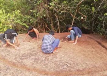 ಕಡಬ: ಗೇರು ಬೀಜ ತೋಟದಲ್ಲಿ ಅಪರೂಪದ ಸಮಾಧಿ ಪತ್ತೆ