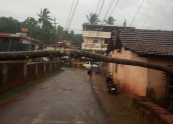 ಕಲ್ಲುಗುಂಡಿ: ಭಾರಿ ಗಾಳಿ ಮಳೆ, ಧರೆಗುರುಳಿದ ತೆಂಗಿನ ಮರ, ವ್ಯಕ್ತಿಗೆ ಗಾಯ