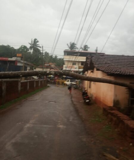 ಕಲ್ಲುಗುಂಡಿ: ಭಾರಿ ಗಾಳಿ ಮಳೆ, ಧರೆಗುರುಳಿದ ತೆಂಗಿನ ಮರ, ವ್ಯಕ್ತಿಗೆ ಗಾಯ
