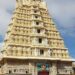 ಚಾಮುಂಡಿ ದೇವಸ್ಥಾನದಲ್ಲಿ ಭಕ್ತರಿಗೆ ಸಿಗಲಿದೆ ತೆಂಗಿನಕಾಯಿ ತೀರ್ಥ