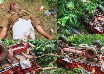 ಮಡಿಕೇರಿ : ಕಾಫಿ ತೋಟಕ್ಕೆ ಉರುಳಿ ಬಿದ್ದ ಲಾರಿ