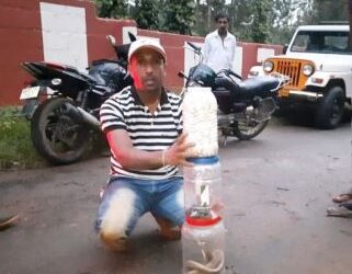 ಅಂಗನವಾಡಿಯೊಳಗಿತ್ತು ನಾಗರ ಹಾವು, 24 ಮರಿ, 53 ಮೊಟ್ಟೆ ..!