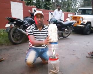 ಅಂಗನವಾಡಿಯೊಳಗಿತ್ತು ನಾಗರ ಹಾವು, 24 ಮರಿ, 53 ಮೊಟ್ಟೆ ..!