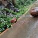 ದಿಢೀರ್ ರಸ್ತೆಗೆ ಕುಸಿದು ಬಿದ್ದ ಭಾರೀ ಬಂಡೆ ಕಲ್ಲು