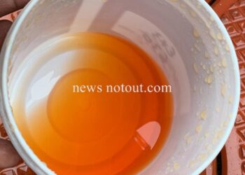 ಸಂಪಾಜೆಯ ಕಾಡುಪಂಜದಲ್ಲಿ ಆರೆಂಜ್ ಮಳೆ..!