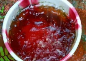 ಬೆಳ್ತಂಗಡಿಯಲ್ಲಿ ರಕ್ತ ಮಳೆ, ವಿಚಿತ್ರ ಘಟನೆ