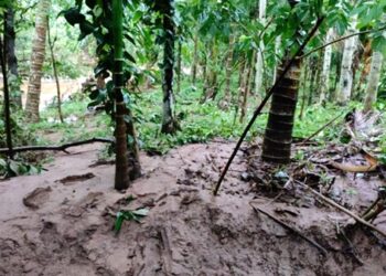 ಸಂಪಾಜೆಯಲ್ಲಿ ಮಧ್ಯ ರಾತ್ರಿ ಮಳೆ, ಪ್ರವಾಹ, ಜನ ತತ್ತರ