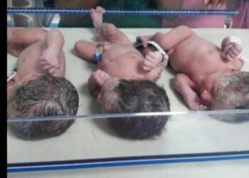 ಮೂರು ಮಕ್ಕಳಿಗೆ ಜನ್ಮ ನೀಡಿದ ಕರಾವಳಿಯ ಮಹಾ ತಾಯಿ