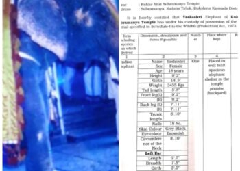ಕುಕ್ಕೆ ಸುಬ್ರಹ್ಮಣ್ಯದ ಆನೆಗೆ ಮಾಲಿಕತ್ವದ ಪ್ರಮಾಣ ಪತ್ರ ನೀಡಿದ ಅರಣ್ಯ ಇಲಾಖೆ