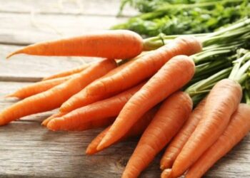 ಚಳಿಗಾಲದಲ್ಲಿ ಕ್ಯಾರೆಟ್ ನಿಂದಾಗುವ ಲಾಭಗಳೇನು…?