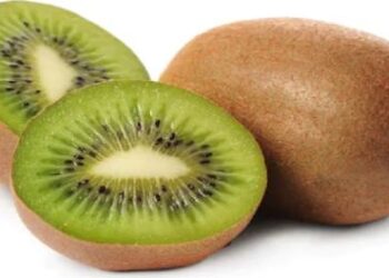 ಕಿವಿ ಹಣ್ಣು ಸೇವಿಸುವುದು ಆರೋಗ್ಯಕ್ಕೆ ಎಷ್ಟು ಲಾಭಕಾರಿ ಗೊತ್ತಾ ..