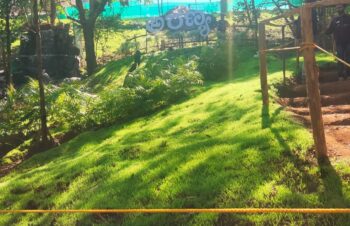 ಹಲವು ಅಚ್ಚರಿಗಳ ತಾಣವಾಗಿರುವ ಜಾಂಬೂರಿ ‘ಅರಣ್ಯ’,ಇದನ್ನು ನೋಡುವುದೇ ಕಣ್ಣಿಗೆ ಹಬ್ಬ