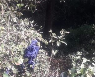 ವ್ಯಕ್ತಿಯೊಬ್ಬರ ಅಸ್ಥಿಪಂಜರ ಪತ್ತೆ:ಮರದಲ್ಲಿ ನೇತಾಡುತ್ತಿದ್ದ ಬಳ್ಳಿ ;ಆತ್ಮಹತ್ಯೆ ಶಂಕೆ