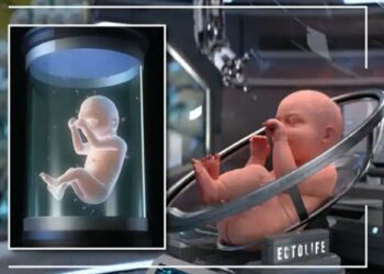 ಮಕ್ಕಳನ್ನು  ಹೆರಲು ಇನ್ಮುಂದೆ ತಾಯಿ ಬೇಡ..ಬರುತ್ತಿದೆ ಮಕ್ಕಳ ಹೆರುವ ಕಾರ್ಖಾನೆ..!