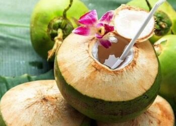 ನೀವು ಎಳನೀರು ಪ್ರಿಯರೇ ? ಕುಡಿಯುವ ಮುನ್ನ ನಿಮಗಿದು ತಿಳಿದಿರಲಿ