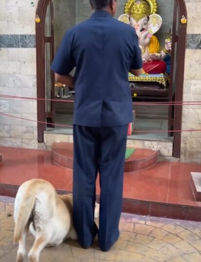 ವಿಘ್ನ ನಿವಾರಕ ಗಣೇಶನಿಗೆ ಕೈ ಮುಗಿದ ಶ್ವಾನ, ಜಾಲತಾಣದಲ್ಲಿ ವಿಡಿಯೋ ವೈರಲ್‌