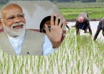 ಹೊಸ ವರ್ಷದದಿಂದ ರೈತರ ಖಾತೆಗೆ ೧೩ನೇ ಕಂತಿನ ಹಣ ಪಾವತಿ, ಬ್ಯಾಲೆನ್ಸ್ ಪರಿಶೀಲಿಸುವ ಕ್ರಮ ಹೇಗೆ?