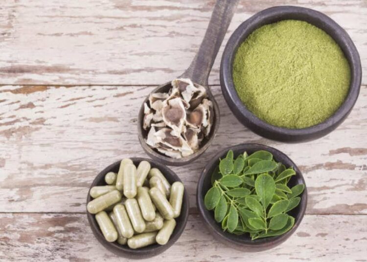 ನುಗ್ಗೆಕಾಯಿ, ಸೊಪ್ಪು ಮಾತ್ರವಲ್ಲ ಅದರ ಬೀಜ ಕೂಡ ಆರೋಗ್ಯಕ್ಕೆ ಉತ್ತಮ ಔಷಧೀಯ ಗುಣವುಳ್ಳ ಮದ್ದು…