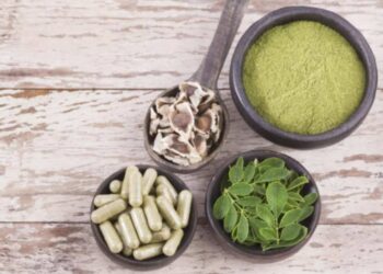 ನುಗ್ಗೆಕಾಯಿ, ಸೊಪ್ಪು ಮಾತ್ರವಲ್ಲ ಅದರ ಬೀಜ ಕೂಡ ಆರೋಗ್ಯಕ್ಕೆ ಉತ್ತಮ ಔಷಧೀಯ ಗುಣವುಳ್ಳ ಮದ್ದು…