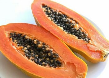 ಬೆಳಿಗ್ಗೆ ಖಾಲಿ ಹೊಟ್ಟೆಯಲ್ಲಿ ಪಪ್ಪಾಯಿ ಹಣ್ಣುಗಳನ್ನ ಸೇವಿಸಿ ಆರು  ಆರೋಗ್ಯಕರ ಪ್ರಯೋಜನಗಳನ್ನು ಪಡೆದುಕೊಳ್ಳಿ!