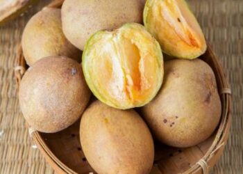 ಆರೋಗ್ಯಕ್ಕೂ ಉತ್ತಮ, ಬಾಯಿಗೂ ರುಚಿ….ಯಾವ ಹಣ್ಣು…?