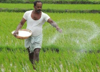 ನಿಮ್ಮ ಬೆಳೆಗಳು ರೋಗ ಮತ್ತು ಕೀಟಗಳಿಂದ ಸುರಕ್ಷಿತವಾಗಿರಬೇಕೆ? ಇಂದೇ ಈ ವಿಧಾನ ಪಾಲಿಸಿ