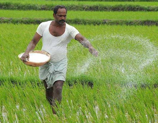 ನಿಮ್ಮ ಬೆಳೆಗಳು ರೋಗ ಮತ್ತು ಕೀಟಗಳಿಂದ ಸುರಕ್ಷಿತವಾಗಿರಬೇಕೆ? ಇಂದೇ ಈ ವಿಧಾನ ಪಾಲಿಸಿ