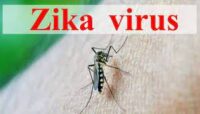 ರಾಜ್ಯದಲ್ಲಿ ಝಿಕಾ ವೈರಸ್ ಪತ್ತೆ : ಆರೋಗ್ಯ ಇಲಾಖೆಯಿಂದ ಎಚ್ಚರಿಕೆ